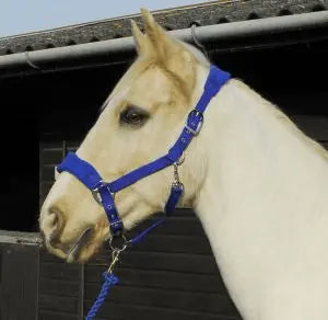 Rhinegold Comfort Headcollar and Rope Set - Birdham Animal Feeds