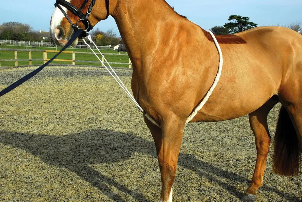 Rhinegold Soft Lunge Aid - Birdham Animal Feeds