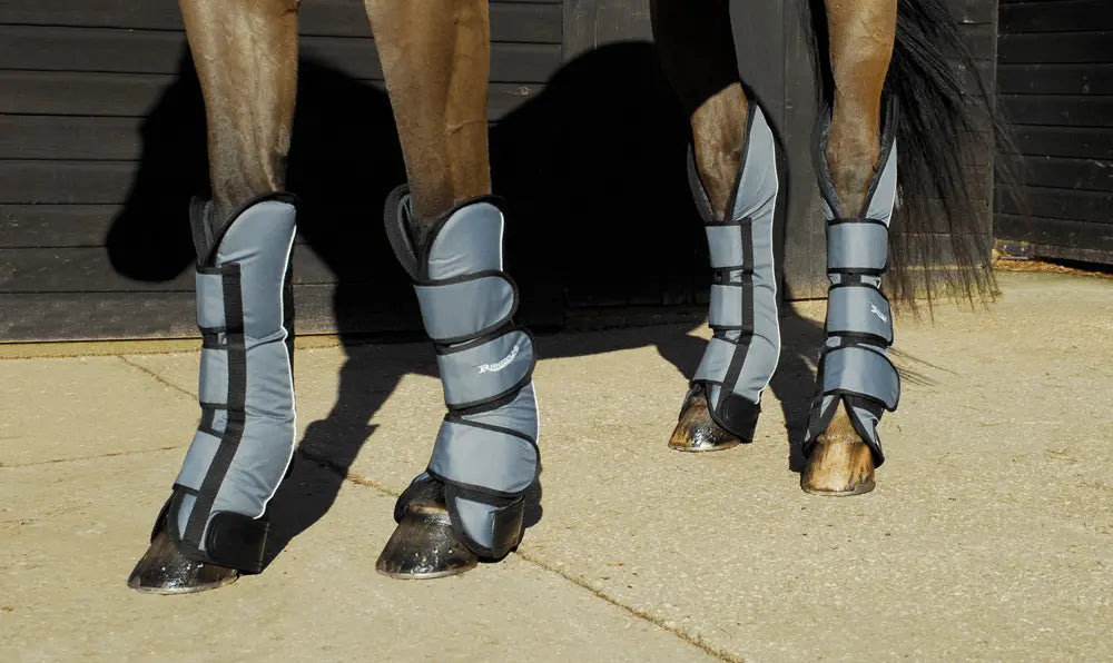 Rhinegold Elite Full Length Travel Boots - Birdham Animal Feeds