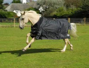 Rhinegold Elite Montpelier Rug - Birdham Animal Feeds