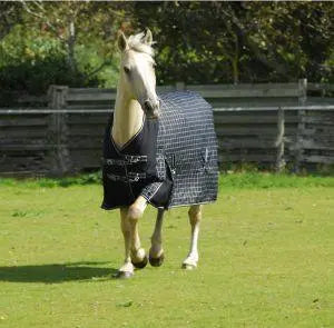 Rhinegold Elite Montpelier Rug - Birdham Animal Feeds