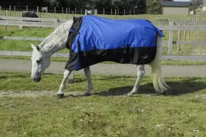 Rhinegold Phoenix Outdoor Rug - Birdham Animal Feeds
