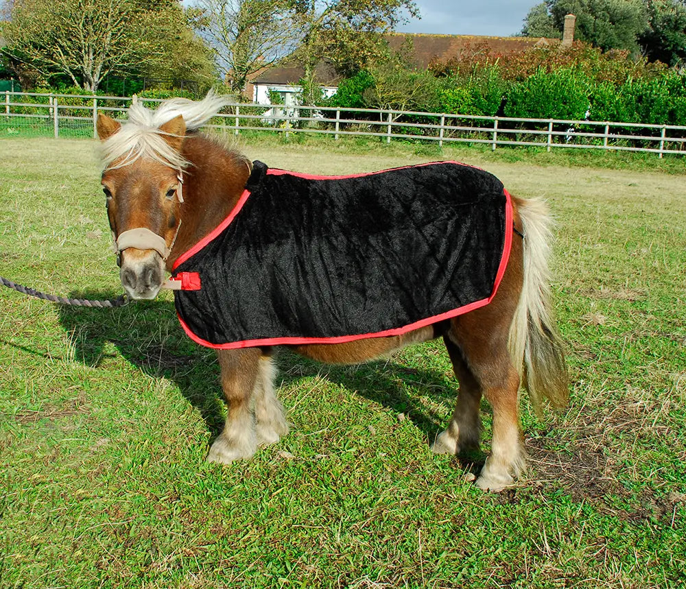 Rhinegold Small Pony Coral Fleece Rug - Birdham Animal Feeds