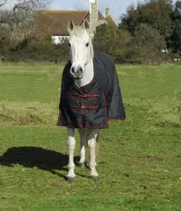 Rhinegold Thor Outdoor Rug - Birdham Animal Feeds