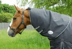 Rhinegold Konig Neck Cover - Birdham Animal Feeds