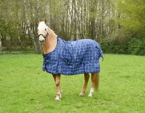 Rhinegold Atlanta Turnout Rug - Birdham Animal Feeds