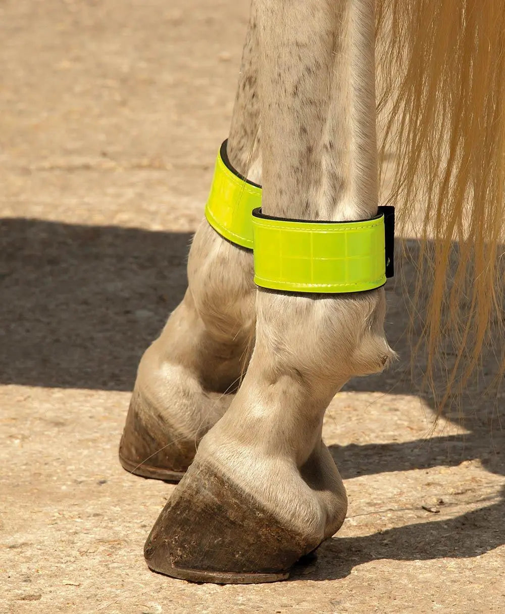 Harlequin Reflective Leg Bands - Birdham Animal Feeds