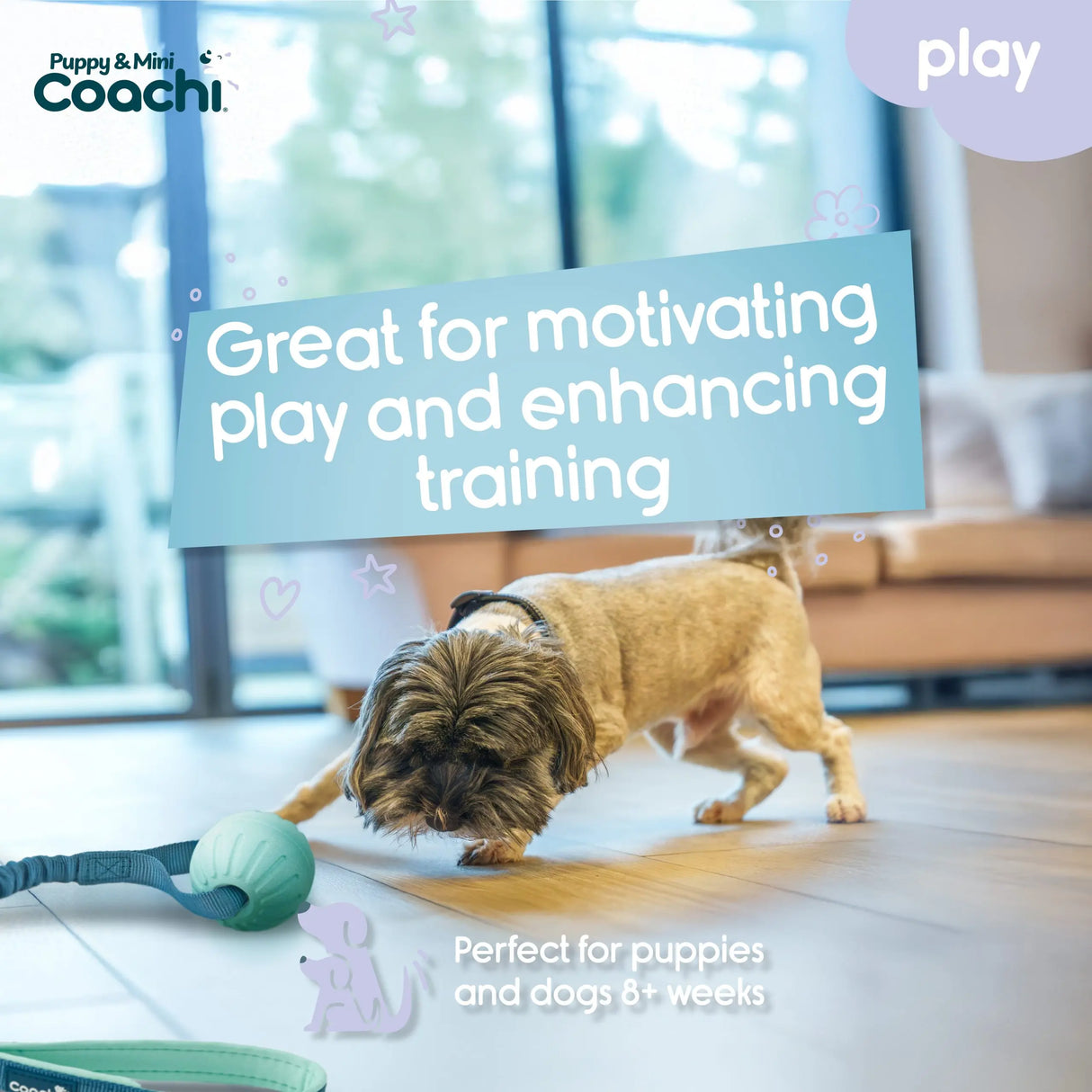 Coachi Puppy & Mini Tuggi Ball Coachi