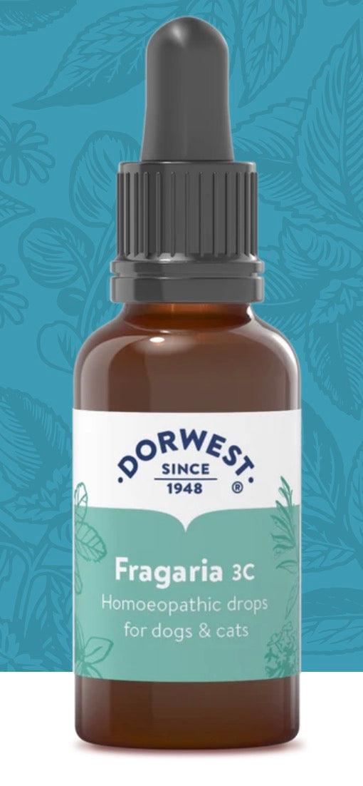 Dorwest Fragaria 3c 15ml Liquid