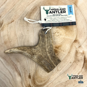Nova Highland Fallow Deer Antler