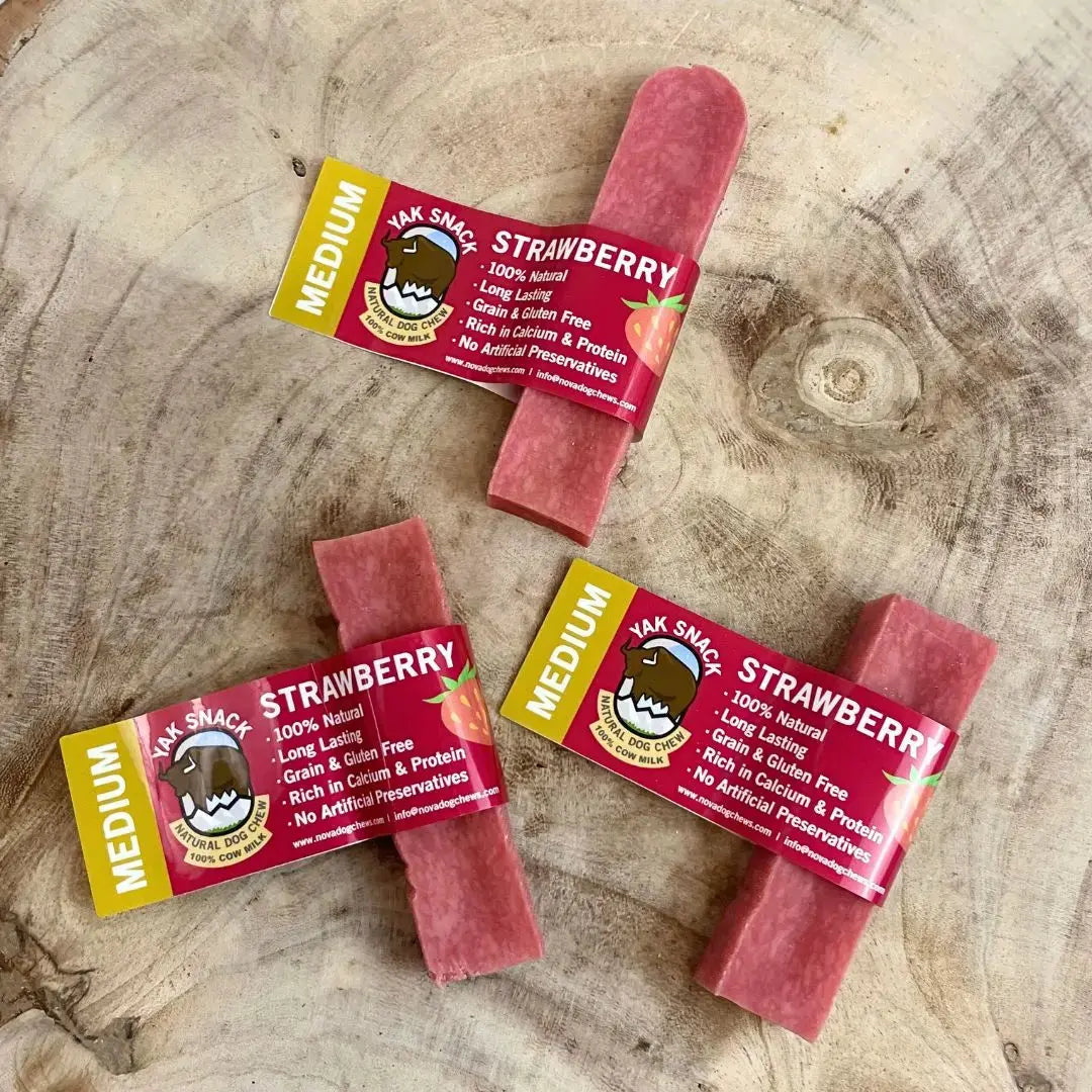 Nova Strawberry Yak Natural Dog Chew Nova Dog Chews