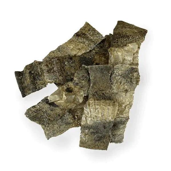 Ostrich Skin Slice - Birdham Animal Feeds