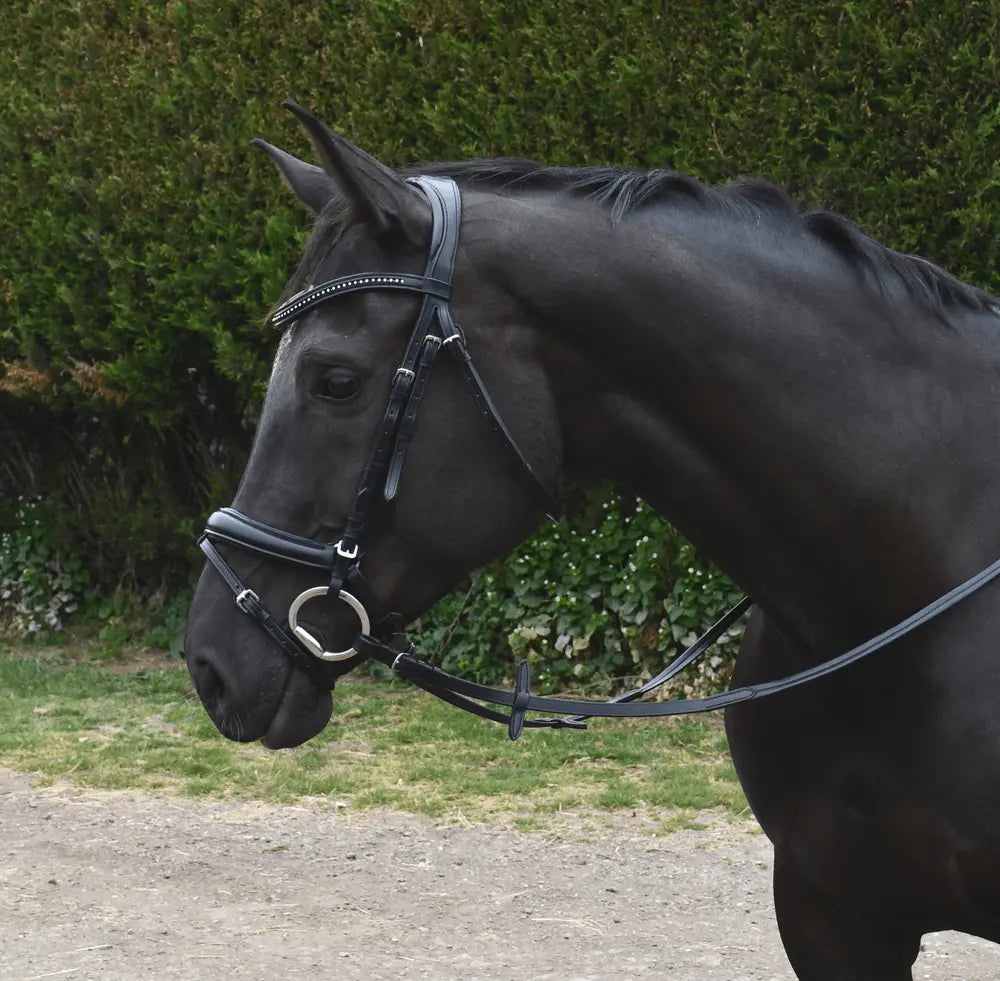 Rhinegold Italia Anatomical Flash Bridle - Birdham Animal Feeds