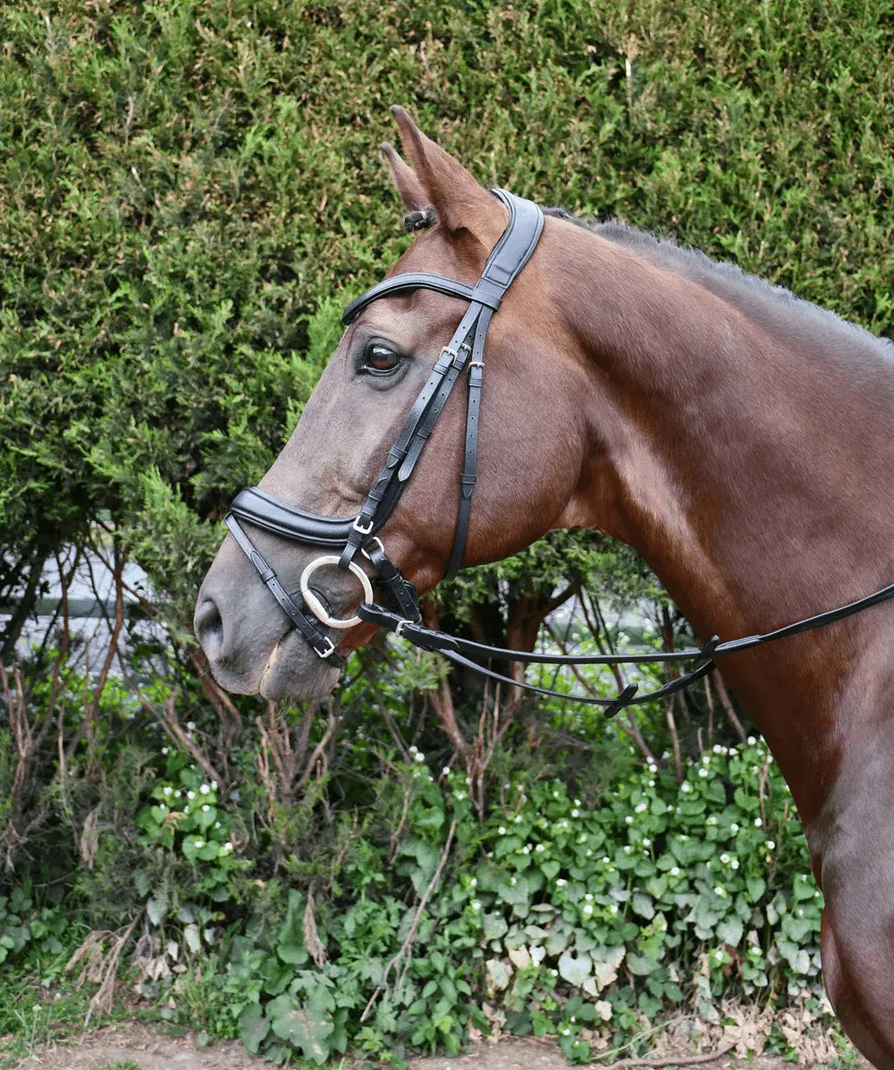 Rhinegold Softee Pro-Anatomic Flash Bridle - Birdham Animal Feeds