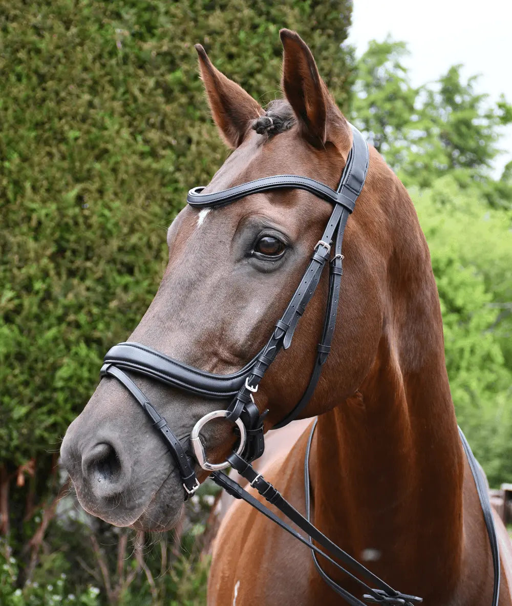 Rhinegold Softee Pro-Anatomic Flash Bridle - Birdham Animal Feeds