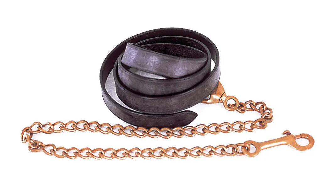 Windsor Leather Lead & Chain 1" - Birdham Animal Feeds