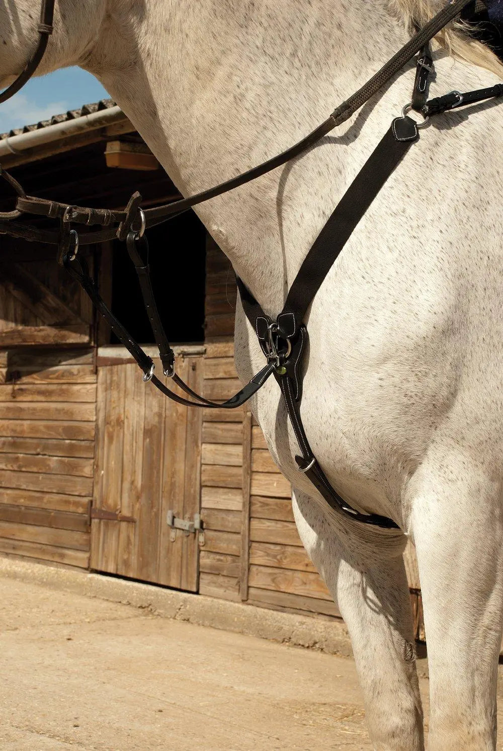 Rhinegold V-Check Elasticated Breastplate - Birdham Animal Feeds