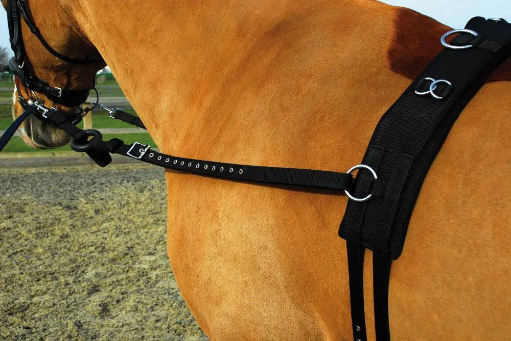 Rhinegold Training/ Breaking Set - Birdham Animal Feeds