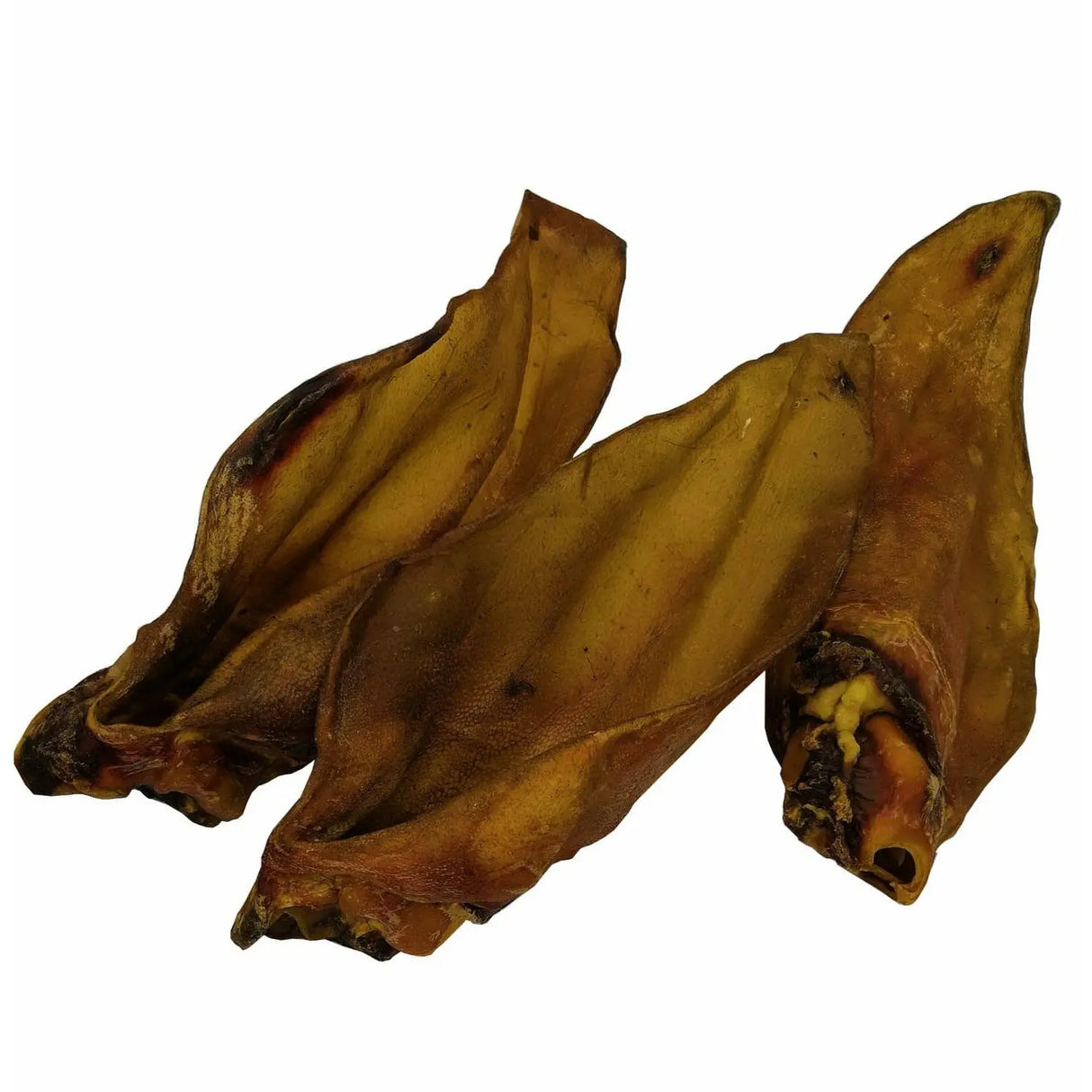 Buffalo Ear No Root bird