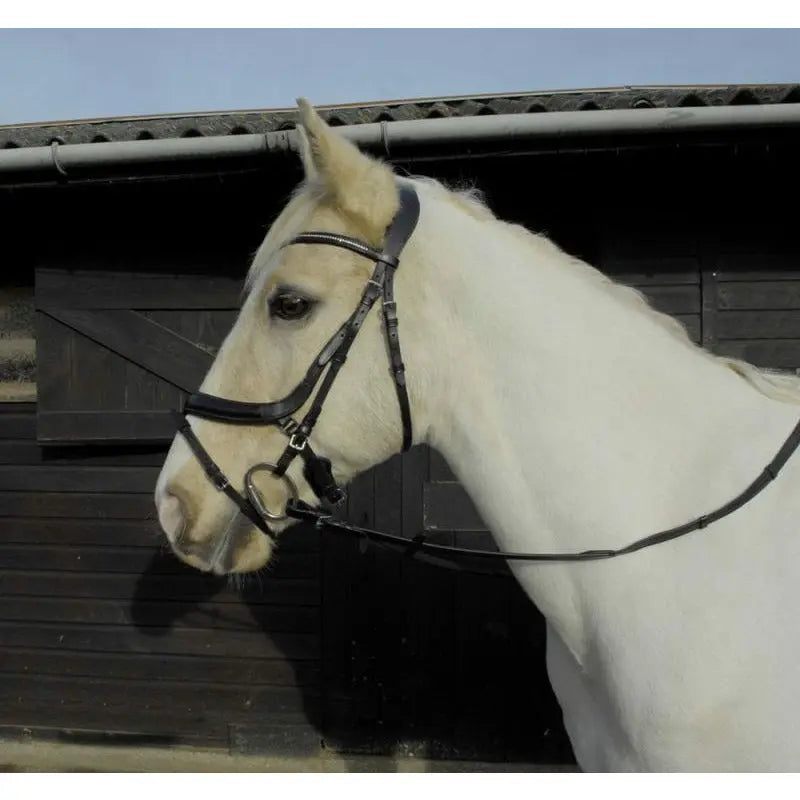 Heritage Leather Anatomical Flash Bridle and Reins - Birdham Animal Feeds