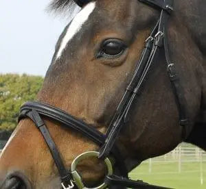 Heritage Flash Bridle - Birdham Animal Feeds