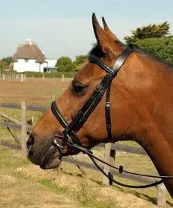 Heritage Plain Bridle - Birdham Animal Feeds