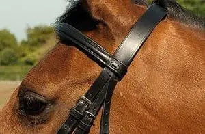 Heritage Plain Bridle - Birdham Animal Feeds