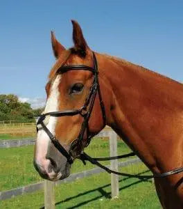 Heritage Mexican Bridle - Birdham Animal Feeds