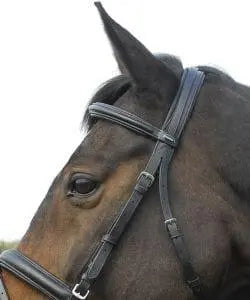 Heritage Comfort Bridle - Birdham Animal Feeds