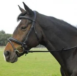 Heritage Comfort Bridle - Birdham Animal Feeds