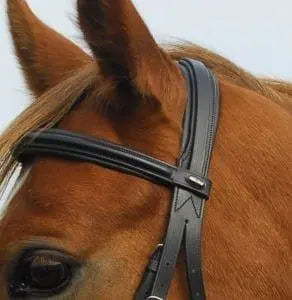 Heritage Comfort Bridle - No Flash - Birdham Animal Feeds