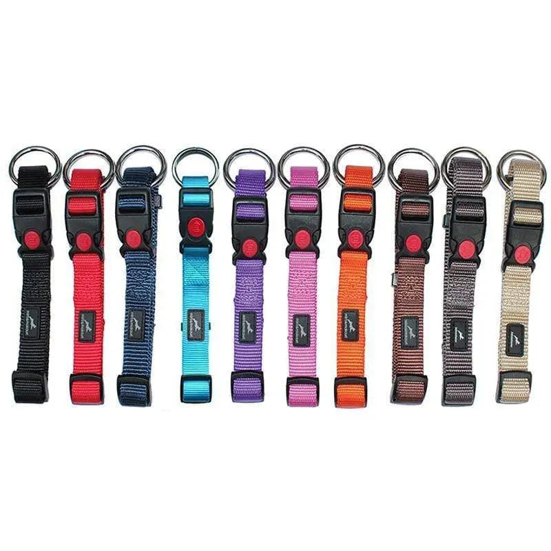 Miro and Makauri Belay Nylon Safety Collar - Birdham Animal Feeds