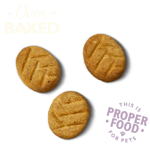 Lily's Kitchen Bedtime Biscuits 80g - Birdham Animal Feeds