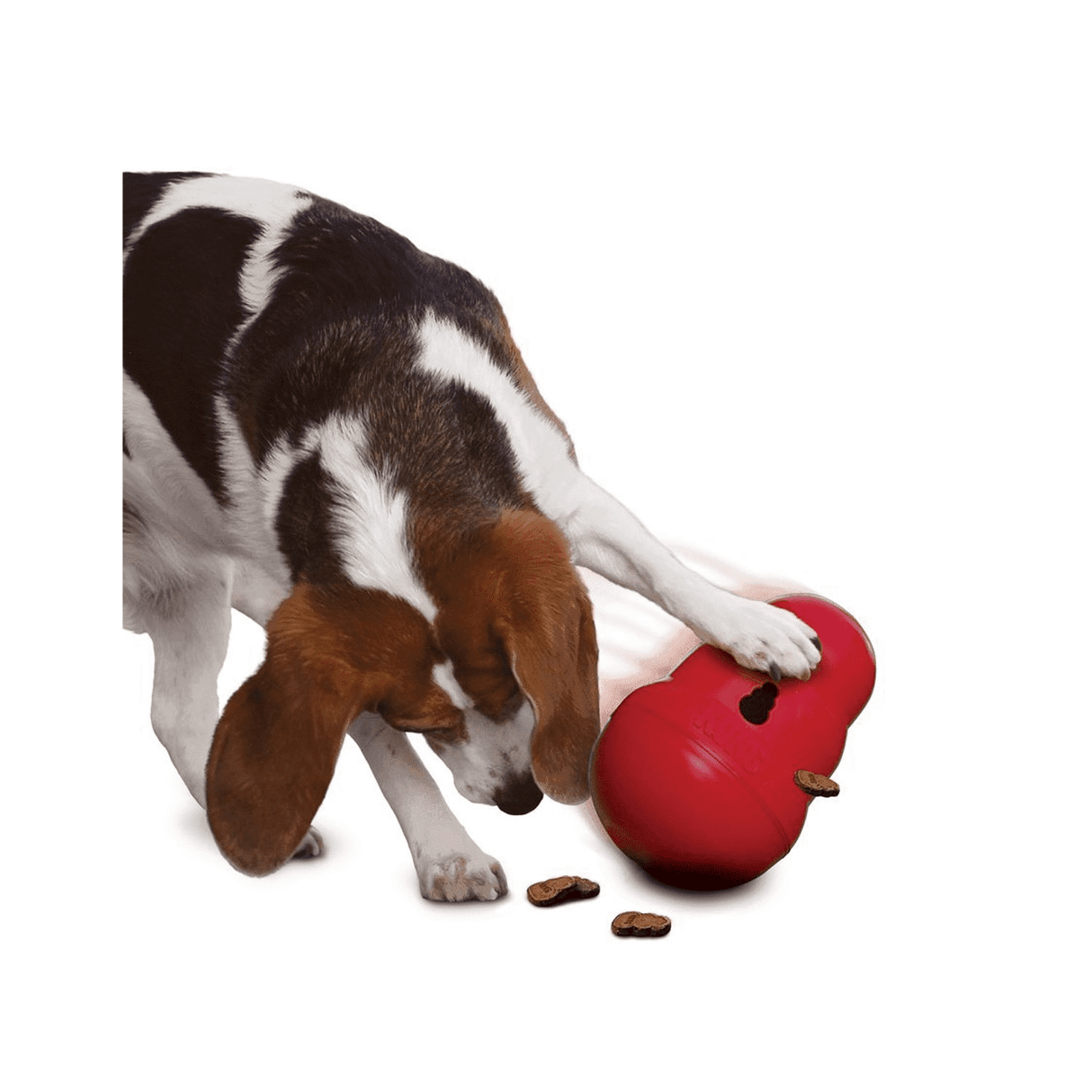 Kong Wobbler - Birdham Animal Feeds