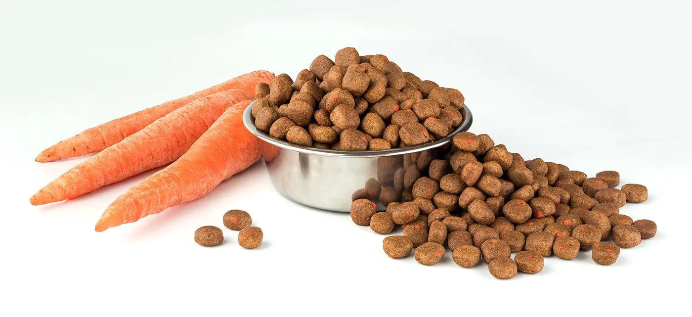 11 Best Organic Dog Treats on the Market - Birdham Animal Feeds