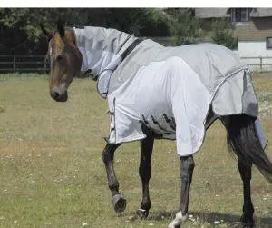 The Ultimate Guide to Choosing the Best Horse Rug for Your Equine Companion - Birdham Animal Feeds