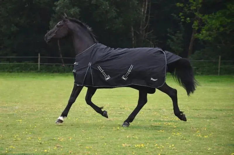 Choosing-a-Rug-for-your-Horse-this-Winter Birdham Animal Feeds