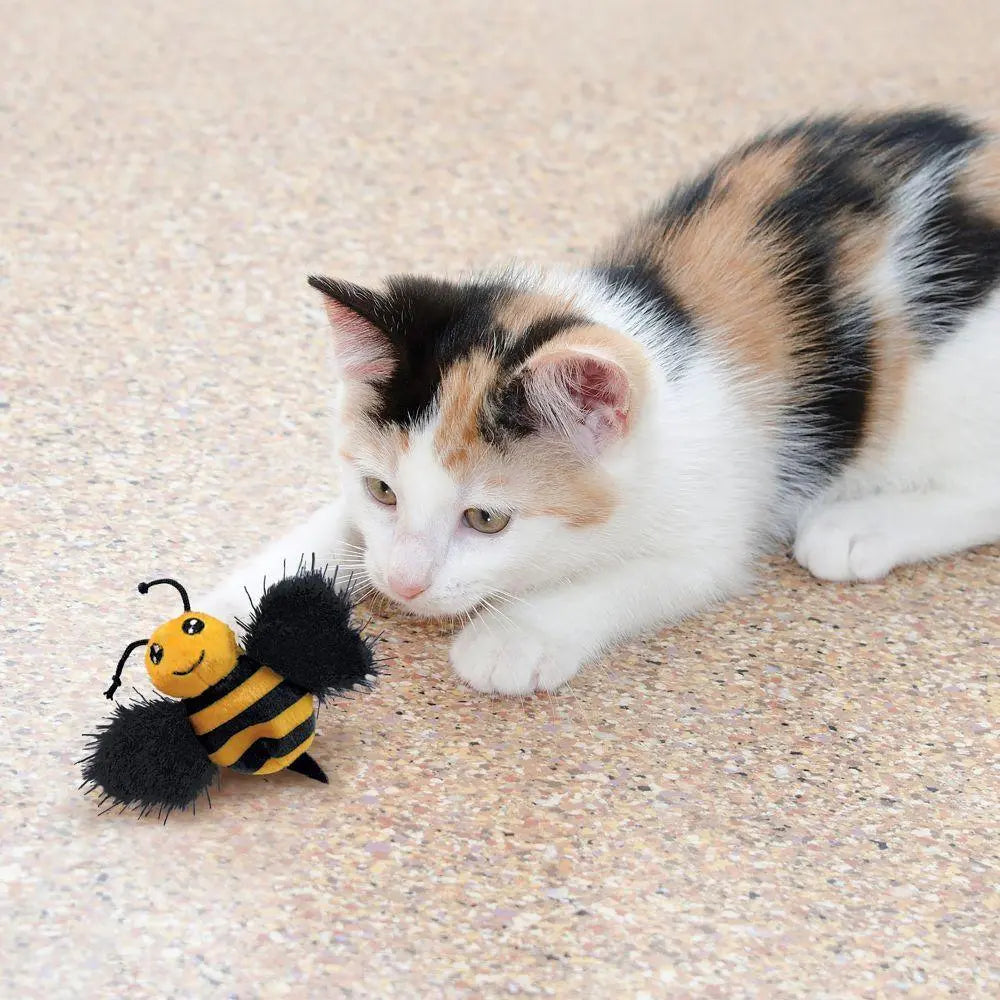 What Can You Put in a Cat Kong Toy? - Birdham Animal Feeds