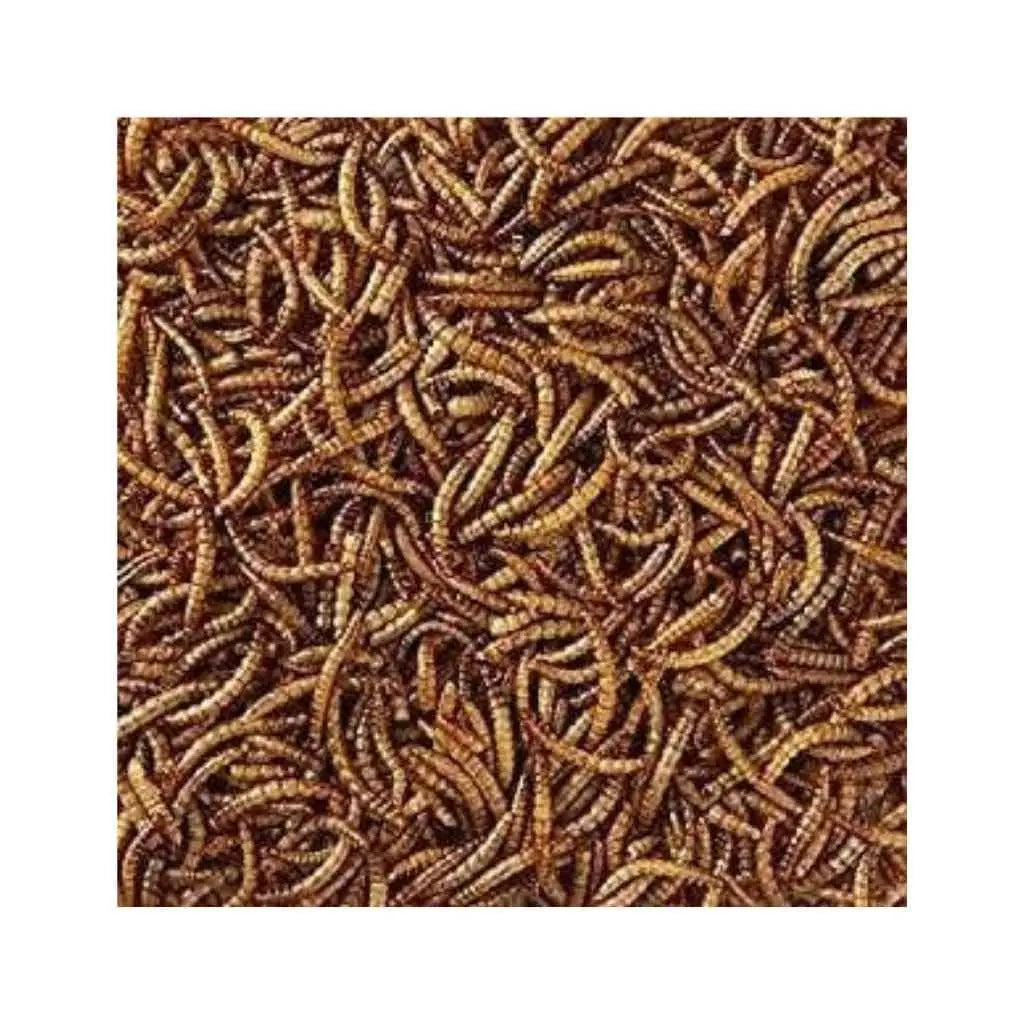 Bird - Birdham Animal Feeds