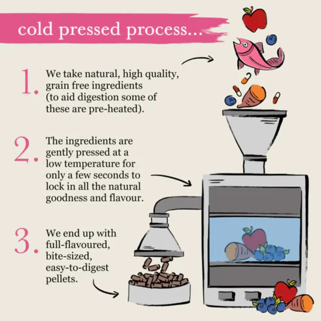 Forthglade Cold Pressed Salmon - Birdham Animal Feeds