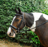 Windsor Comfort Bridle - Birdham Animal Feeds