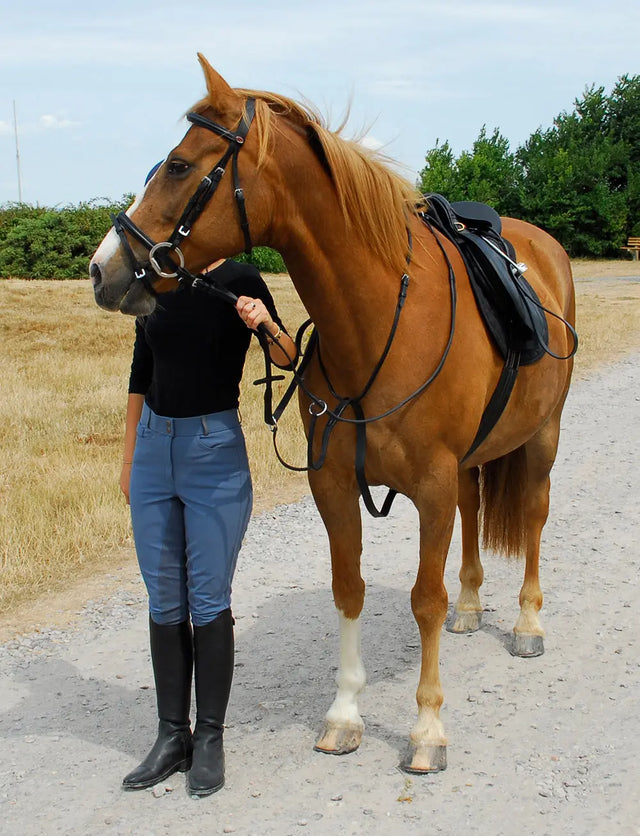 Windsor Running Martingale - Birdham Animal Feeds