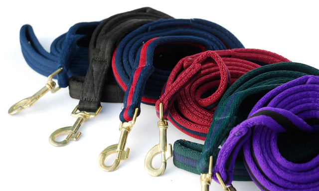 Rhinegold Padded Lead - Birdham Animal Feeds