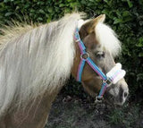 Rhinegold Bright Striped Fur Trim Headcollar - Birdham Animal Feeds