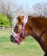 Rhinegold Bright Striped Fur Trim Headcollar - Birdham Animal Feeds