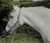 Rhinegold Carnival Headcollar & Rope Set - Birdham Animal Feeds