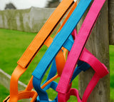 Rhinegold Field Safe Foal Headcollar - Birdham Animal Feeds