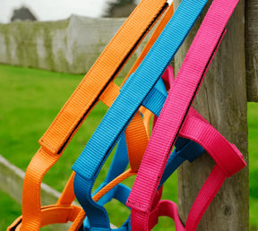 Rhinegold Field Safe Foal Headcollar - Birdham Animal Feeds