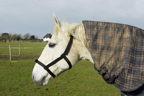 Rhinegold Field Safe Headcollar - Birdham Animal Feeds
