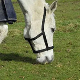 Rhinegold Field Safe Headcollar - Birdham Animal Feeds